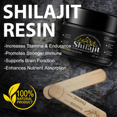 Origin of Shilajit from the Himalayas