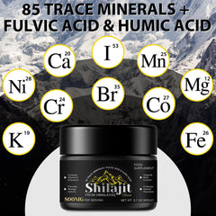 Shilajit resin amino acids and minerals illustration