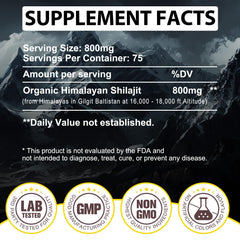 Shilajit resin for energy boost concept