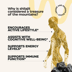 Himalayan mountains representing origin of Shilajit Resin