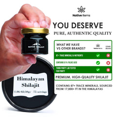 Lab test results for Native Rems Himalayan Shilajit Resin