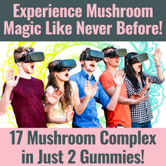 Assorted SHIZAM 17 Mushroom Complex Gummies on a white background