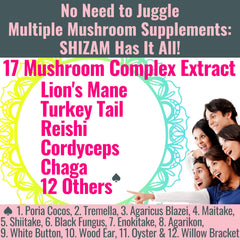 Nutritional ingredients panel for SHIZAM 17 Mushroom Complex Gummies