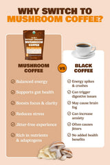 ShroomDNA Packaging and Label for 10-in-1 Mushroom Coffee Instant