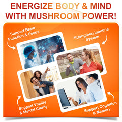 Ingredients panel for SIGNILIFE 10 in 1 Mushroom Supplement