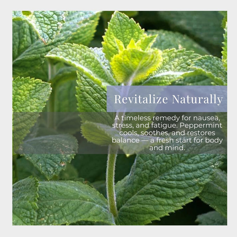 Close-up of roll-on applicator for peppermint essential oil