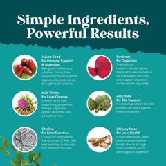 Silymarin herbal liver support illustration