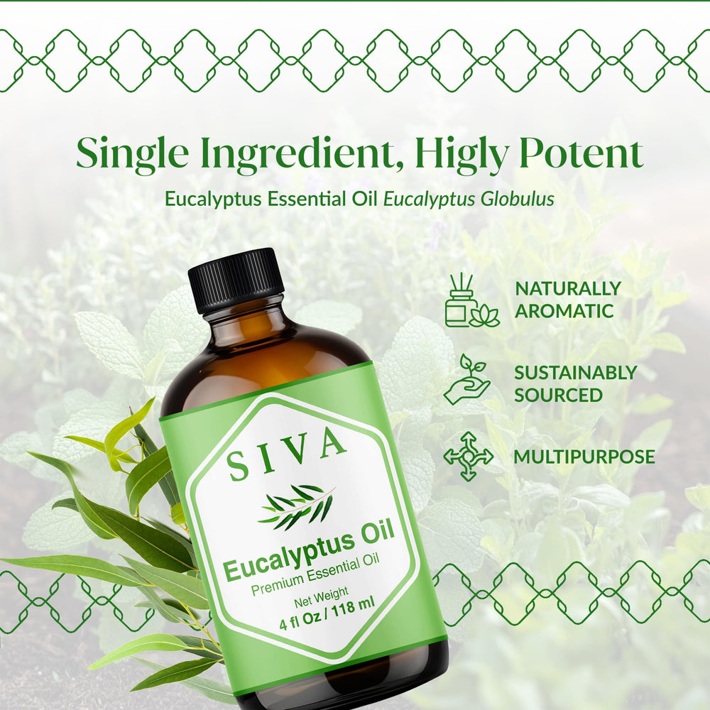 Diffuser ready to use with Siva Eucalyptus Essential Oil