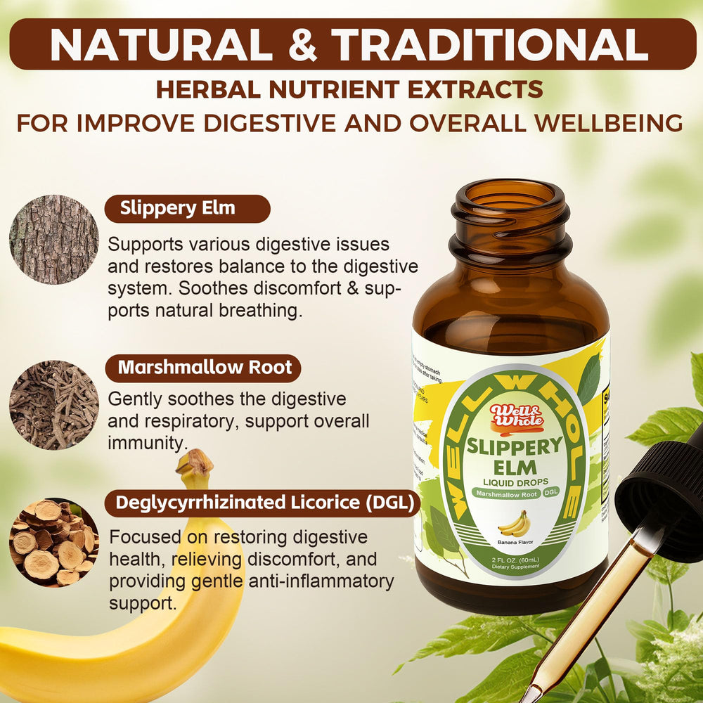 Illustration of slippery elm bark, marshmallow root, and DGL licorice ingredients