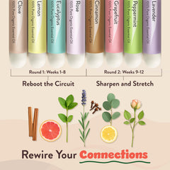 Peppermint scent bottle from the kit