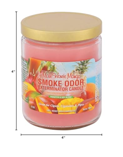 Paraffin and soy blend 13oz jar candle burn time 70 hours