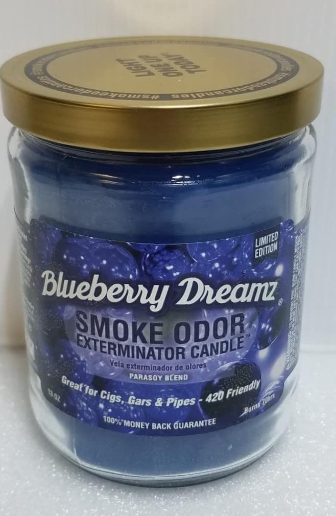 Smoke Odor Exterminator Blueberry Dreamz Candle 13oz - front view