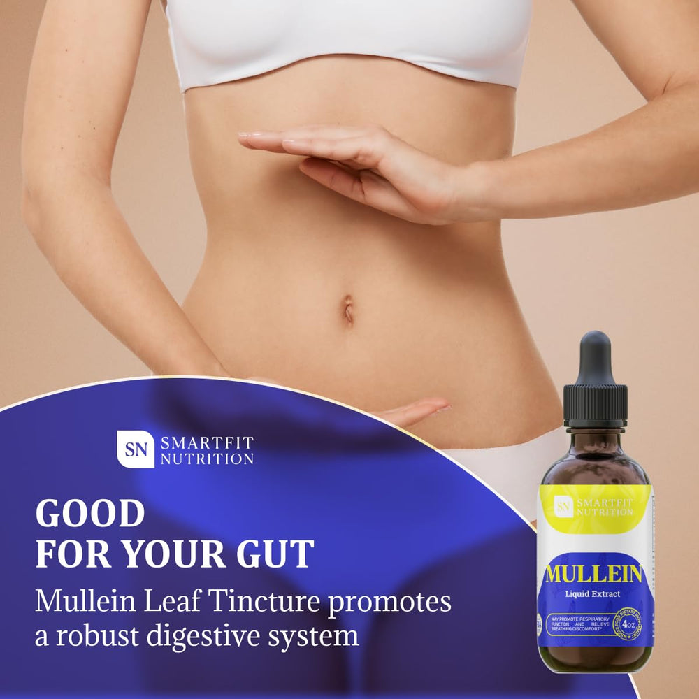 Mullein plant (Verbascum densiflorum) image