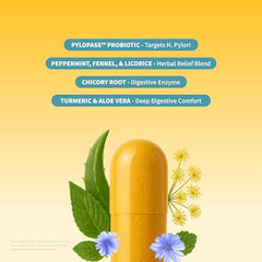 Graphic highlighting 17 active ingredients for bloating relief and digestive support