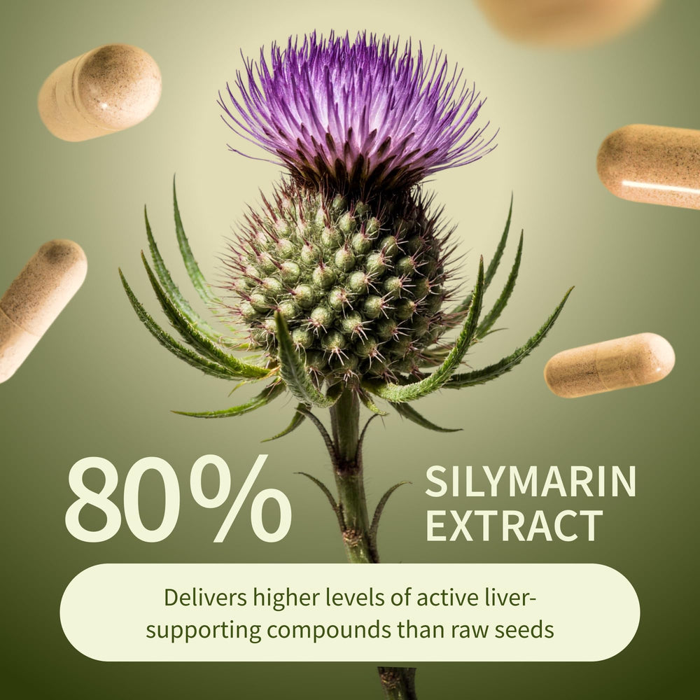 Resveratrol, Dandelion Extract, and Organic Turmeric ingredients