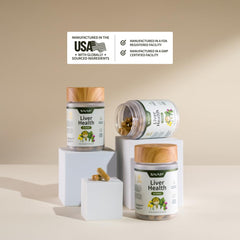 Dandelion extract and turmeric powder representing antioxidant support