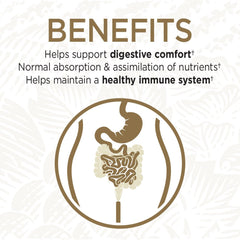 Soil-based probiotics Homeostatic Soil Organisms (HSO) illustration