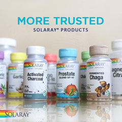 Lifestyle image suggesting urinary tract and digestive health support