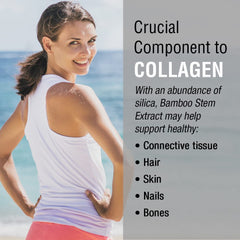 60-capsule bottle of Bamboo Stem Extract