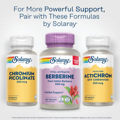 SOLARAY Berberine 500mg lab verification seal; consistent quality.