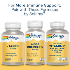 Zinc supports endocrine function and cellular health concept