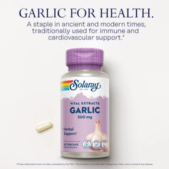 Garlic bulbs representing fresh garlic source