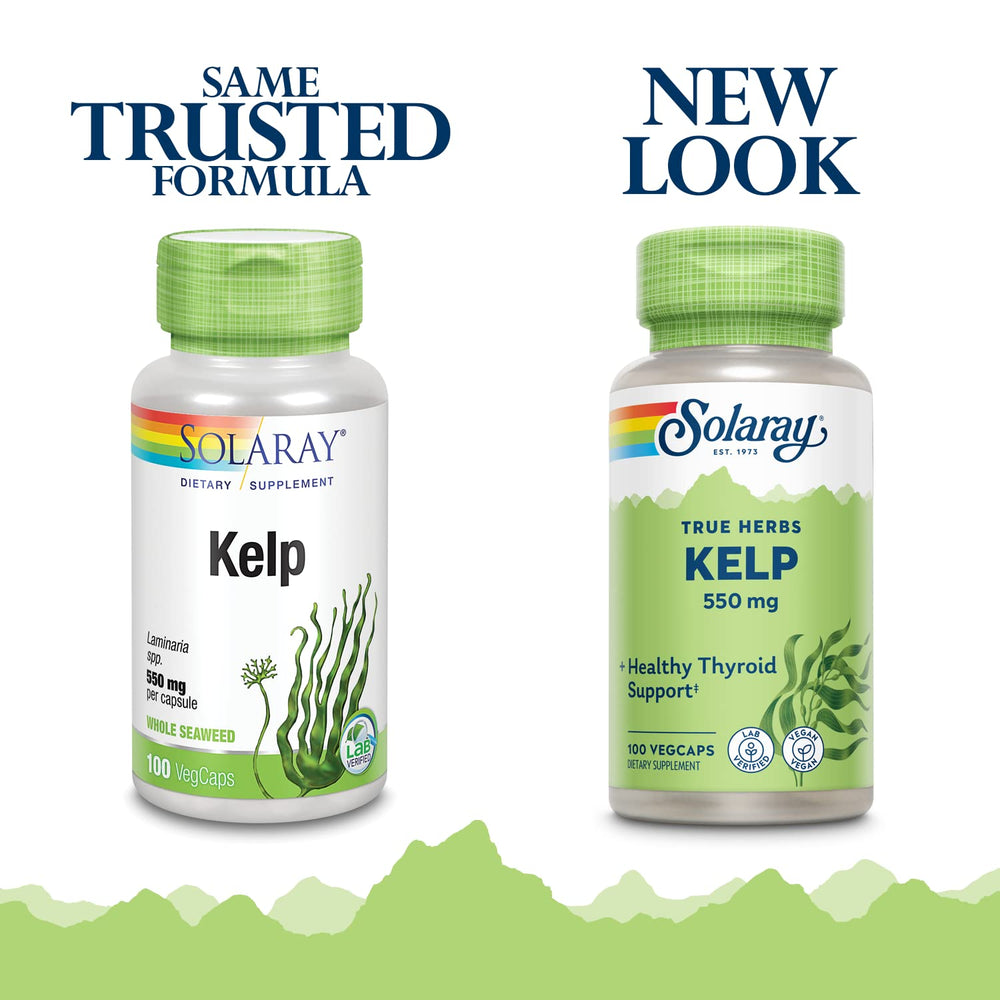 Kelp iodine minerals illustration for thyroid support