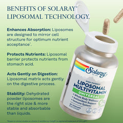 Diagram of liposomal delivery encapsulation