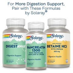 Digestive health concept illustrating gut support
