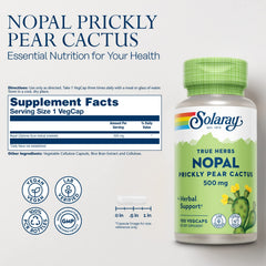 Close-up of nopales cactus cladode used in Solaray formula