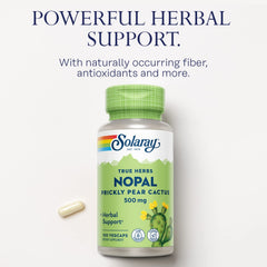 Dietary fiber and nutrients concept image for Nopal