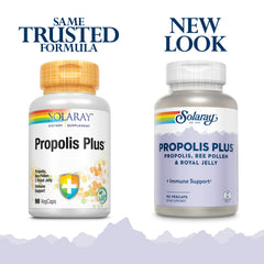 Healthy immune support concept with capsules and leaves