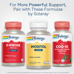 Certificate of GMP and in-house lab testing for SOLARAY Inositol Powder