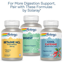 Vegan non-drowsy ginger supplement