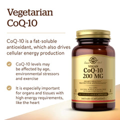 CoQ-10 antioxidant role in cellular energy