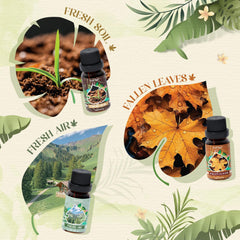 Bamboo Forest fragrance oil bottle from Soulorigin Woodland set