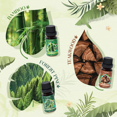 Teak fragrance oil bottle from Soulorigin Woodland set