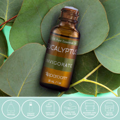 Close-up of SpaRoom Eucalyptus essential oil bottle