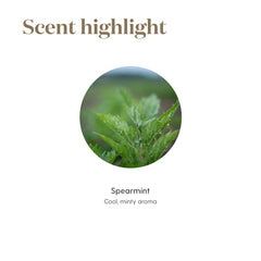 Spearmint essential oil promoting digestive and wellness benefits