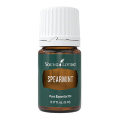 Spearmint essential oil 5ml bottle by Young Living