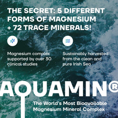 Graphic showing Irish Sea sourced magnesium
