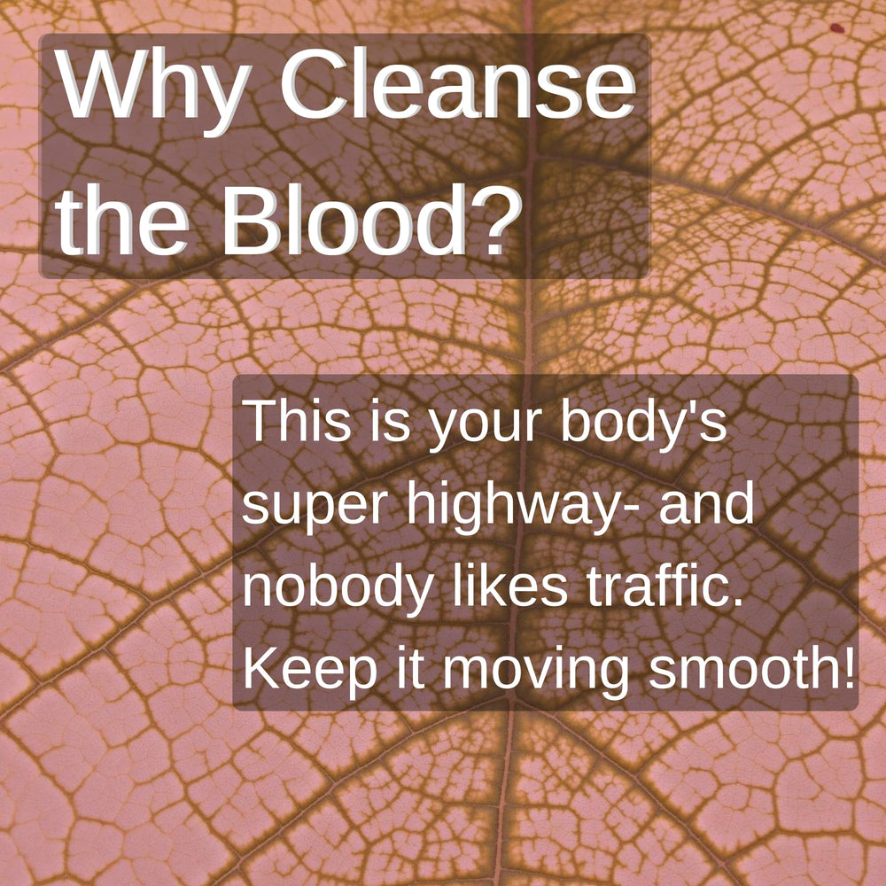 List of organic ingredients: Echinacea, Elder Flower, Hyssop, Raspberry Leaf, and more