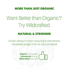 Back label of SpeedyVite Happy Colon with organic ingredients notes