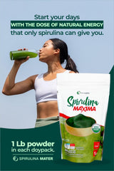 Nutrient-dense spirulina powder on a spoon