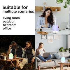 Package contents: diffuser, USB-C cable, charger, manual