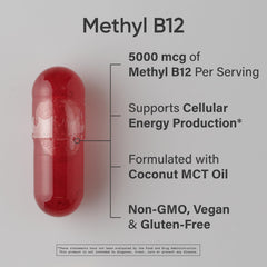High-potency vegan B12 capsule with coconut MCT oil