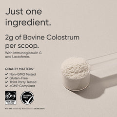 Close-up of colostrum powder in a cup with a spoon