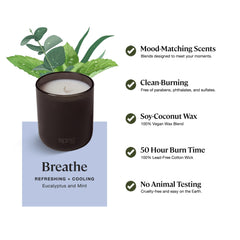 Sprig Breathe candle jar displaying 50 hour burn time concept