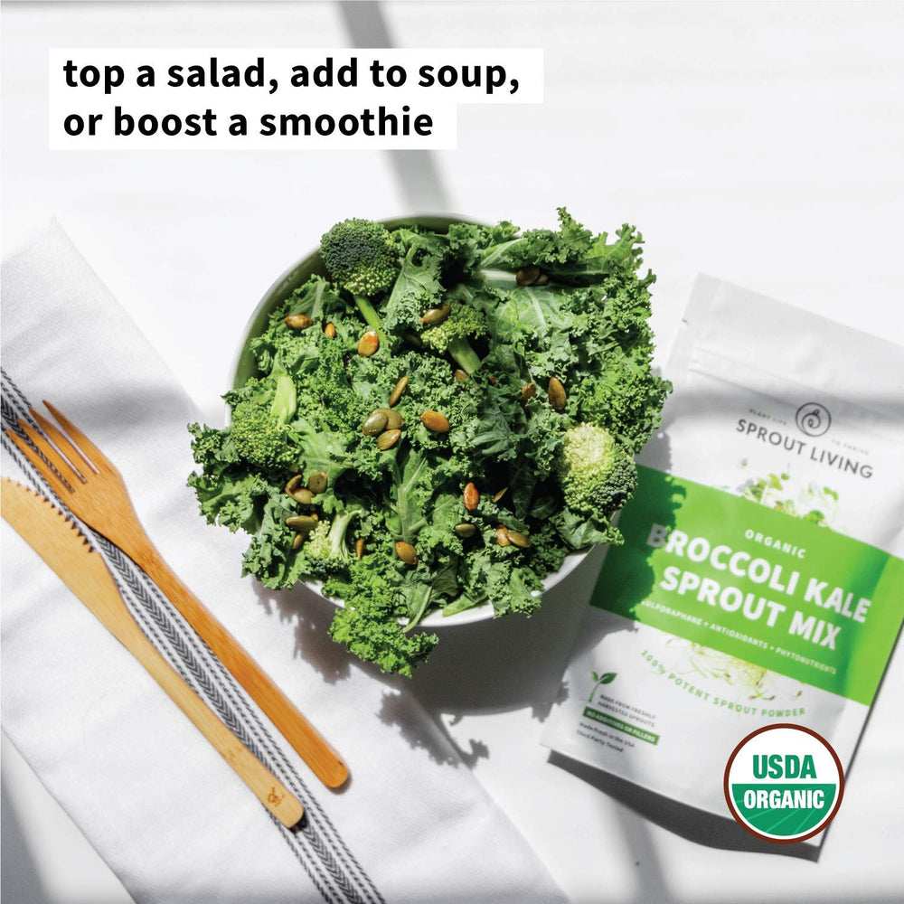 Green superfood powder in a scoop