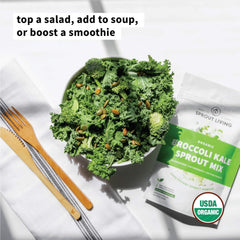 Green superfood powder in a scoop